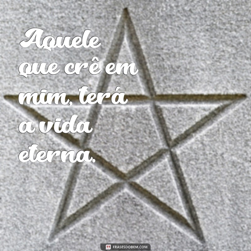 frases aquele que cre em mim Aquele que crê em mim, terá a vida eterna.