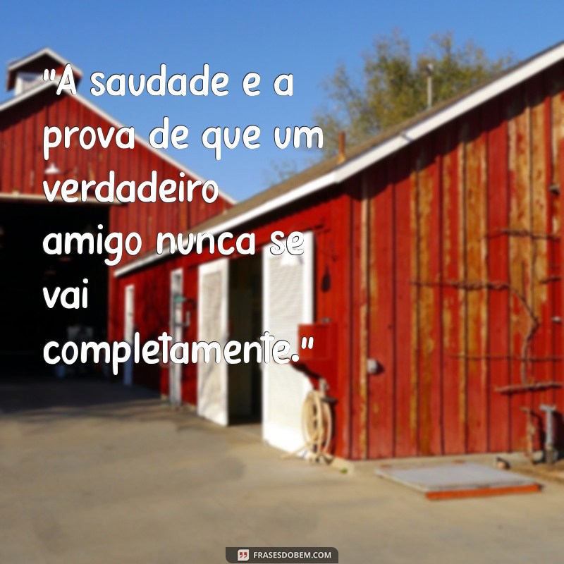 frases de luto de um amigo 