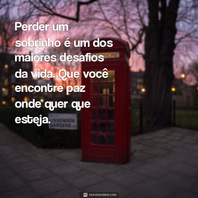 Como Lidar com a Perda: Mensagens de Luto para Sobrinho 