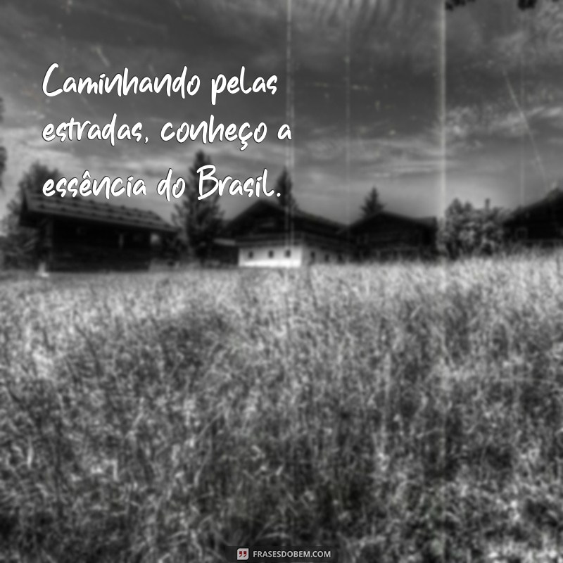 Frases Inspiradoras para Caminhoneiros: Motivação na Estrada 