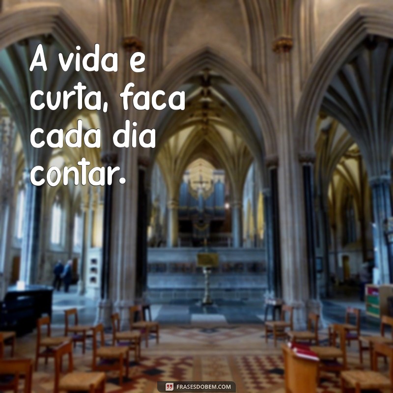 50 Frases Inspiradoras para Transformar Suas Fotos em Memórias Inesquecíveis 