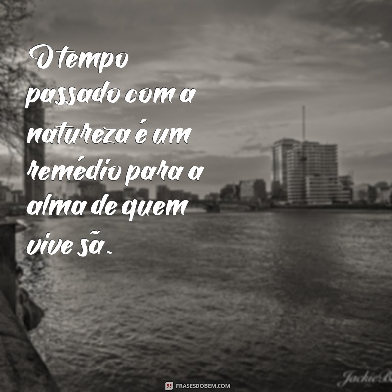 Descubra o Que É Ser uma Pessoa Sã: Dicas para Cultivar a Saúde Mental e Emocional 