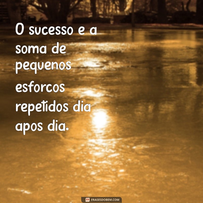 frases motivacional trabalho duro O sucesso é a soma de pequenos esforços repetidos dia após dia.