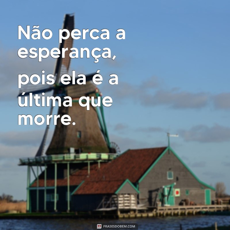 Descubra as melhores frases de esperança e otimismo para inspirar seu dia! 