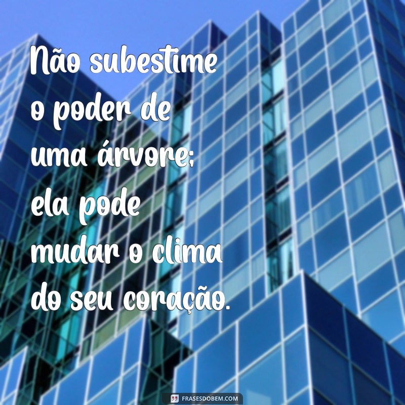 Frases Inspiradoras para Incentivar o Plantio de Árvores 