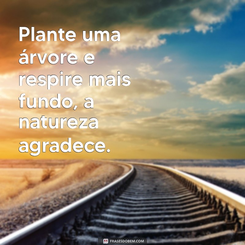 Frases Inspiradoras para Incentivar o Plantio de Árvores 