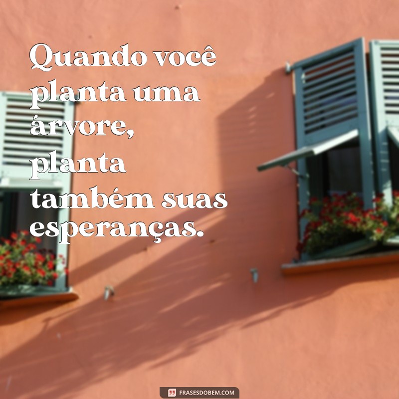 Frases Inspiradoras para Incentivar o Plantio de Árvores 