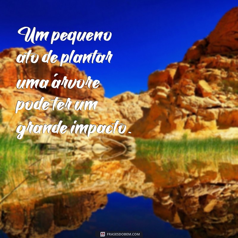 Frases Inspiradoras para Incentivar o Plantio de Árvores 