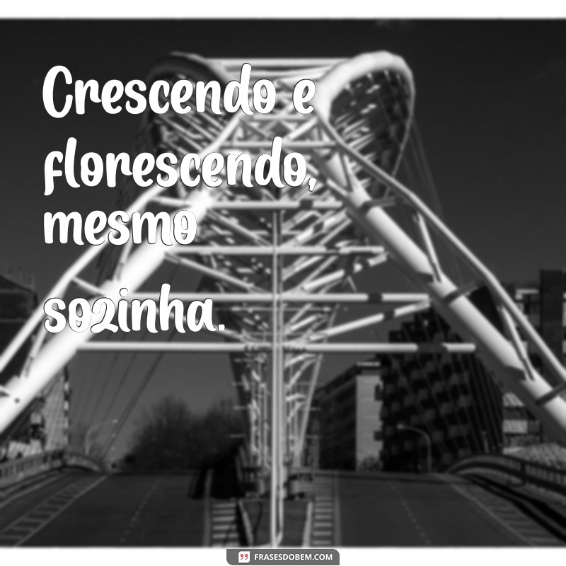 Frases Inspiradoras para Legendas de Fotos Sozinha no Feed 