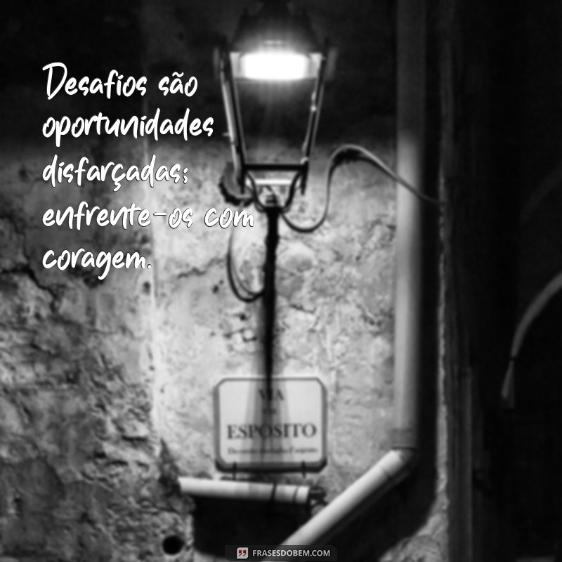 Inspire-se: As Melhores Frases do Dia para Motivar sua Jornada 