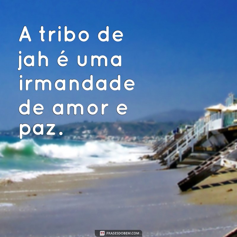 frases tribo de jah A tribo de jah é uma irmandade de amor e paz.