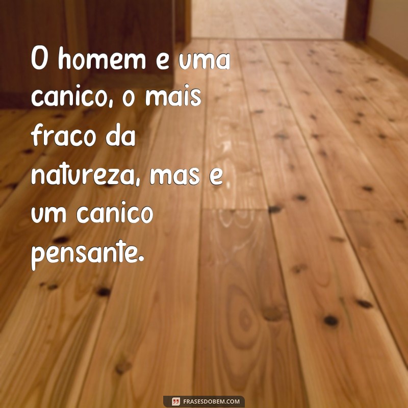 Descubra as melhores frases de Pascal para refletir e inspirar 