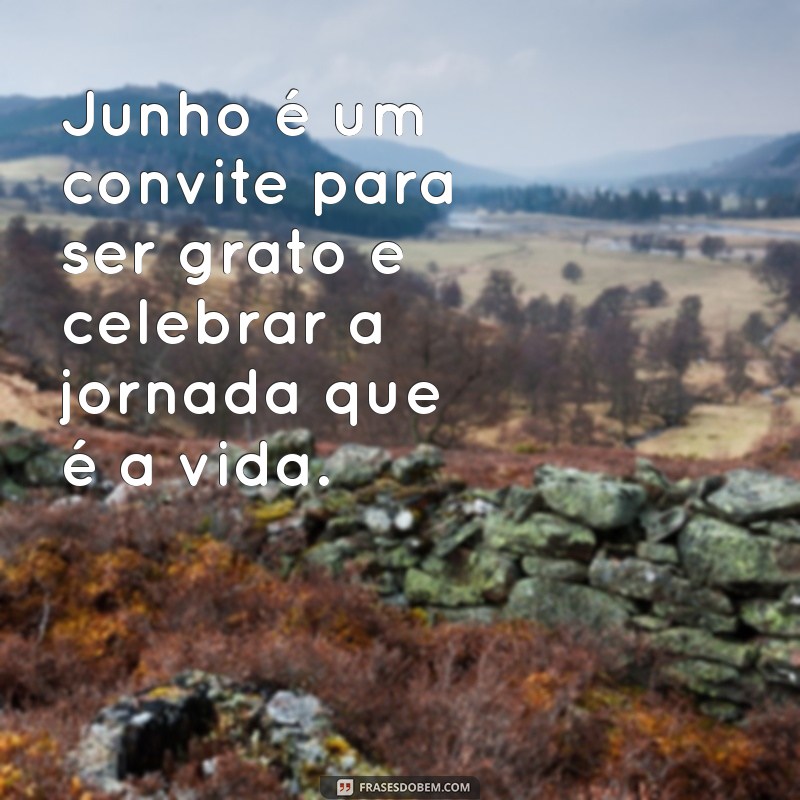 Frases Inspiradoras para Celebrar o Mês de Junho 