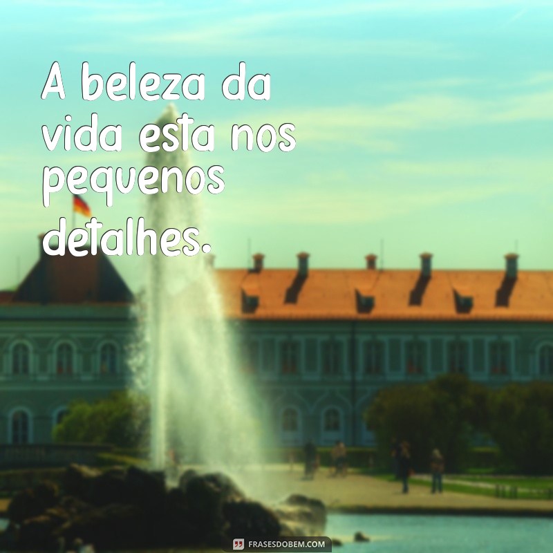 Frases Inspiradoras: As Melhores Imagens para Compartilhar e Motivar 