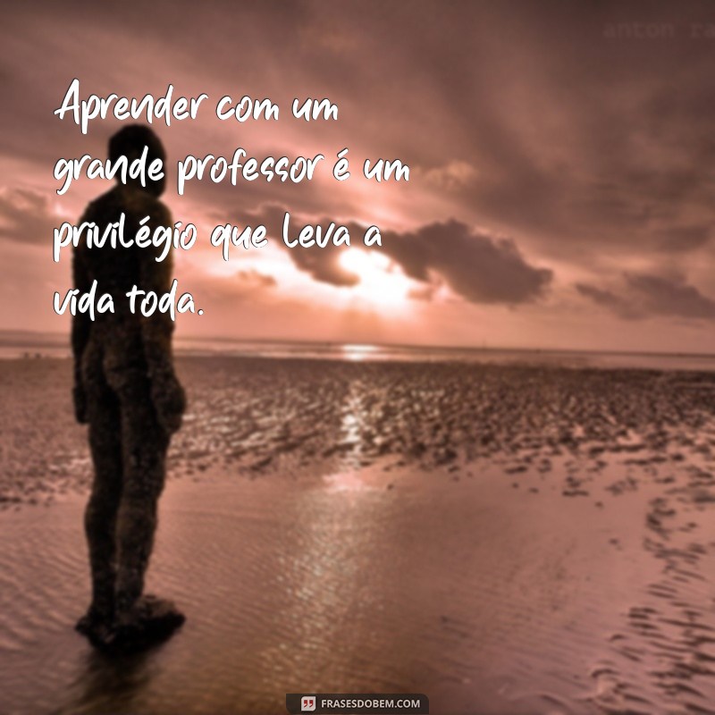 Frases Inspiradoras para Celebrar o Dia do Professor: Homenageie Esses Mestres! 