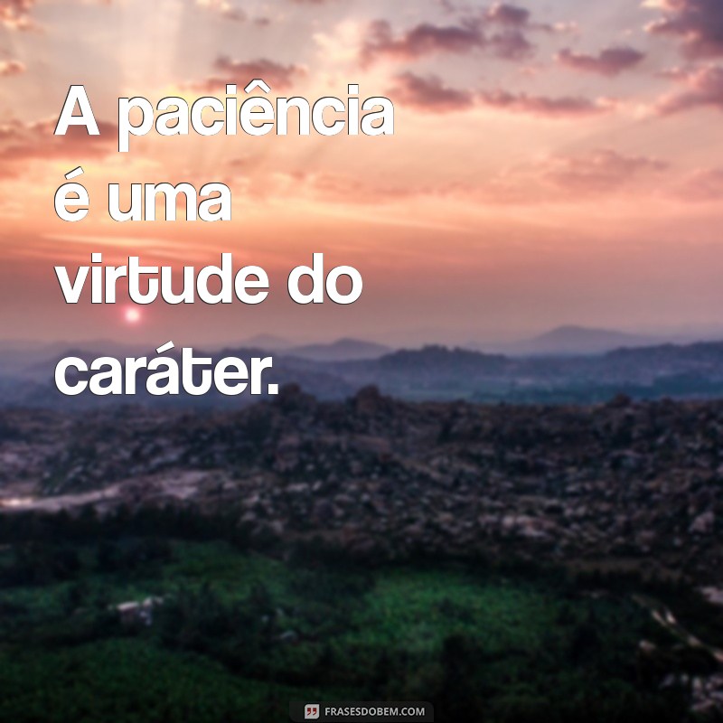 Frases Curtas sobre Caráter: Inspiração e Reflexão em Poucas Palavras 