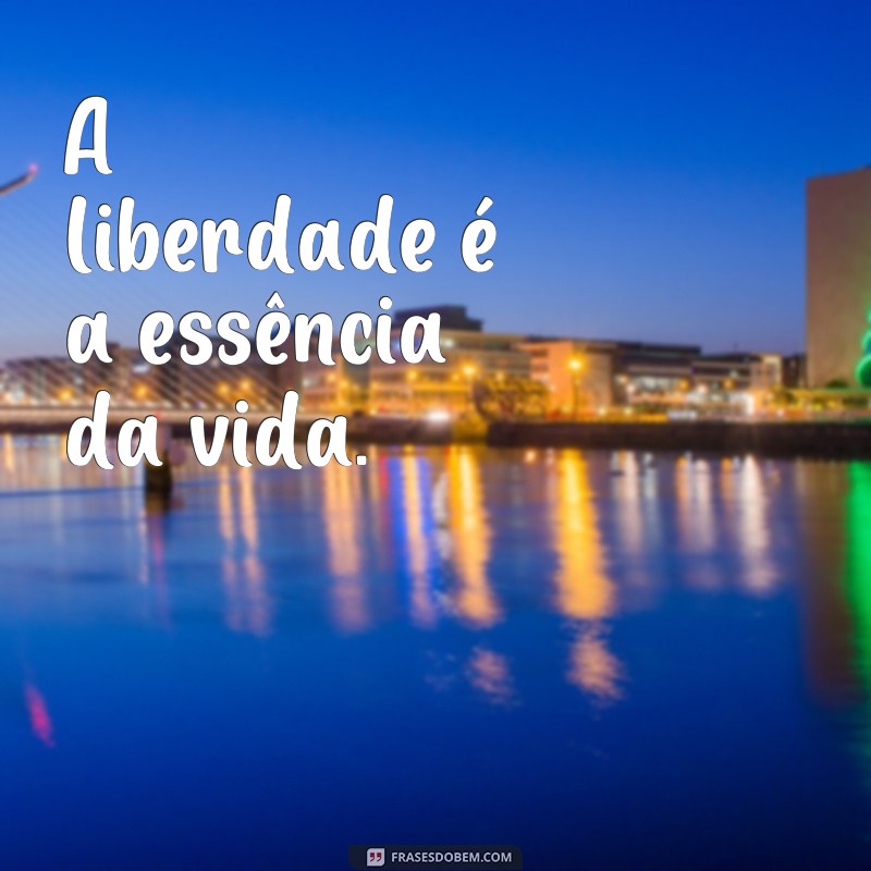 Descubra as 50 melhores frases inspiradoras sobre liberdade - Um sonho de liberdade 