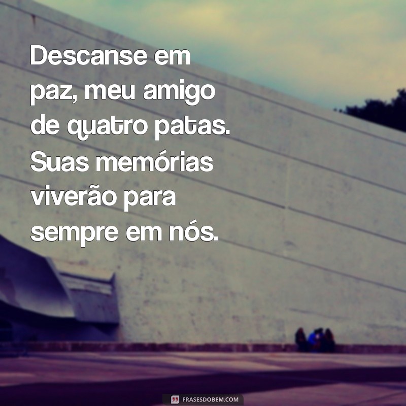 Como Lidar com a Perda de um Pet: Mensagens de Conforto e Superação 