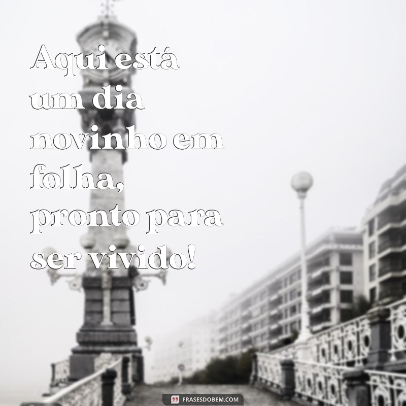 Frases de Bom Dia Criativas e Inspiradoras para Começar o Dia com Positividade 