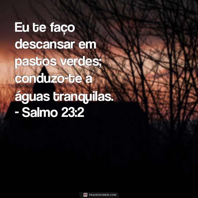 Versículos Bíblicos para uma Noite de Paz: Encontre Conforto e Tranquilidade 