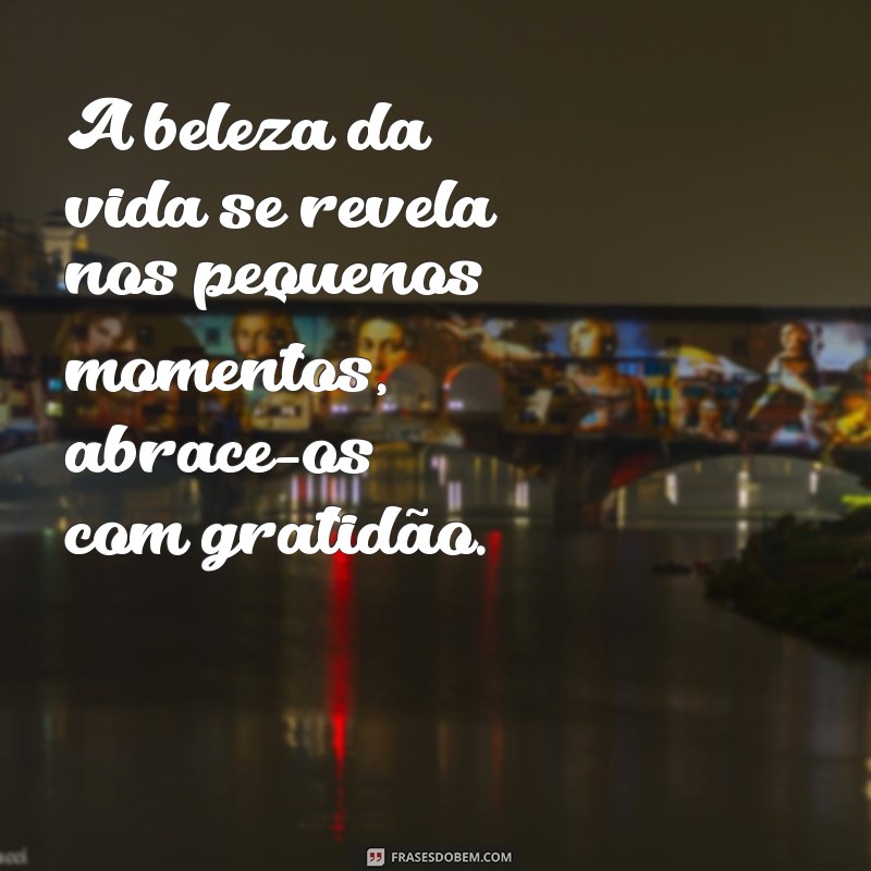 belas msg A beleza da vida se revela nos pequenos momentos, abrace-os com gratidão.