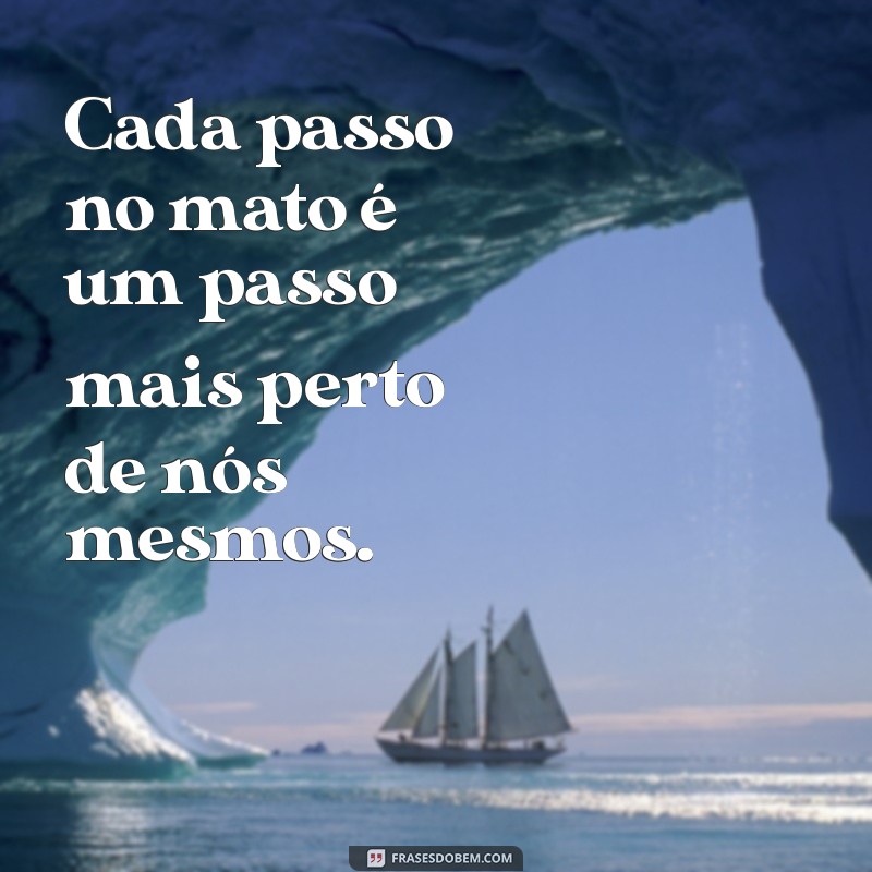 Descubra as Melhores Frases sobre o Mato: Inspiração e Conexão com a Natureza 