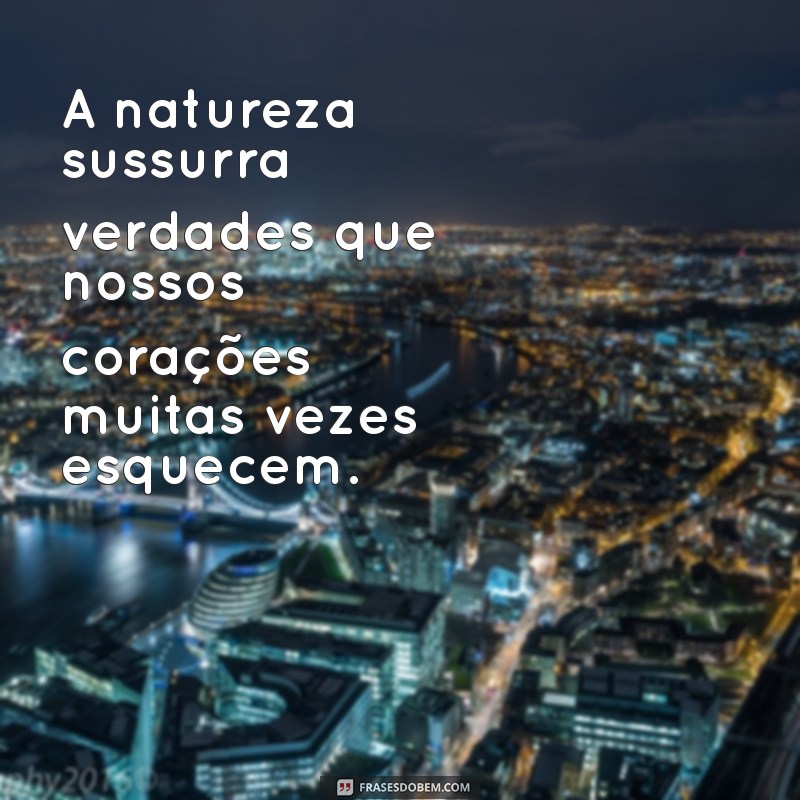 Frases Inspiradoras sobre a Natureza e a Divindade: Conexões Espirituais e Naturais 