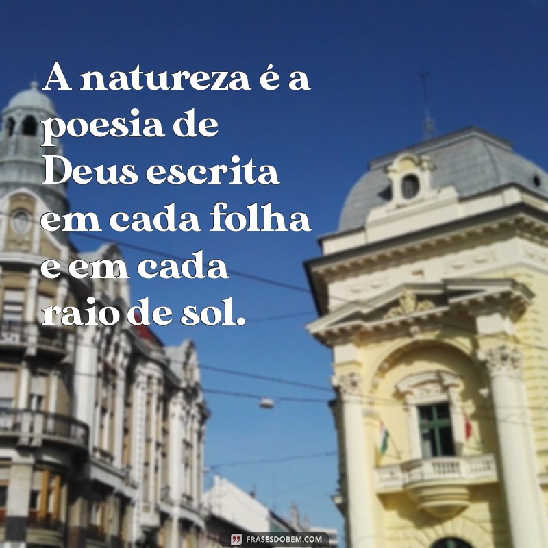 frases sobre a natureza e deus A natureza é a poesia de Deus escrita em cada folha e em cada raio de sol.