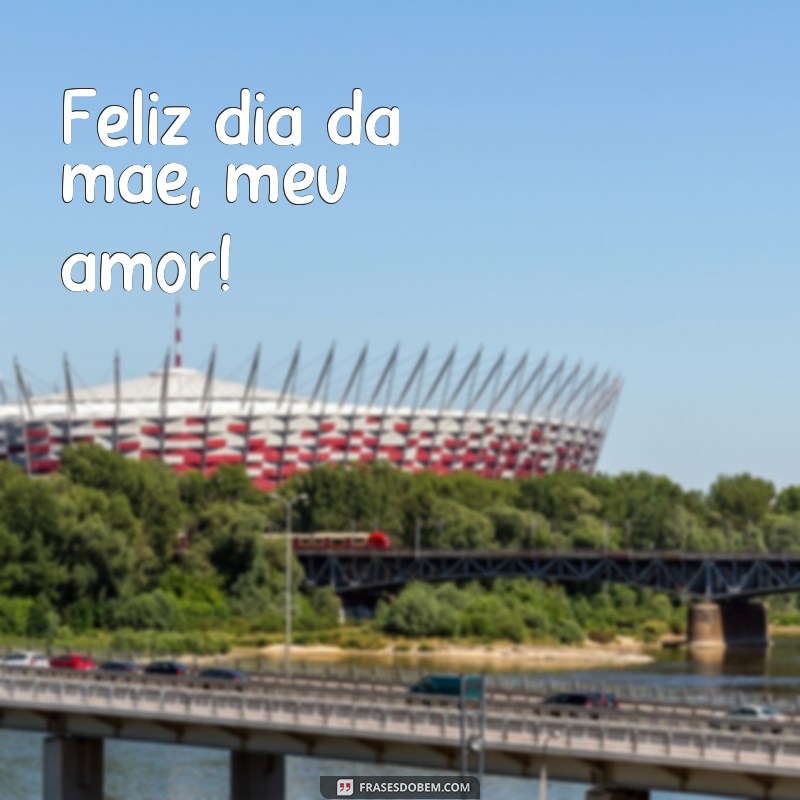 frases feliz dia da mãe Feliz dia da mãe, meu amor!