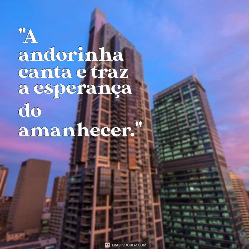 passaro andorinha 