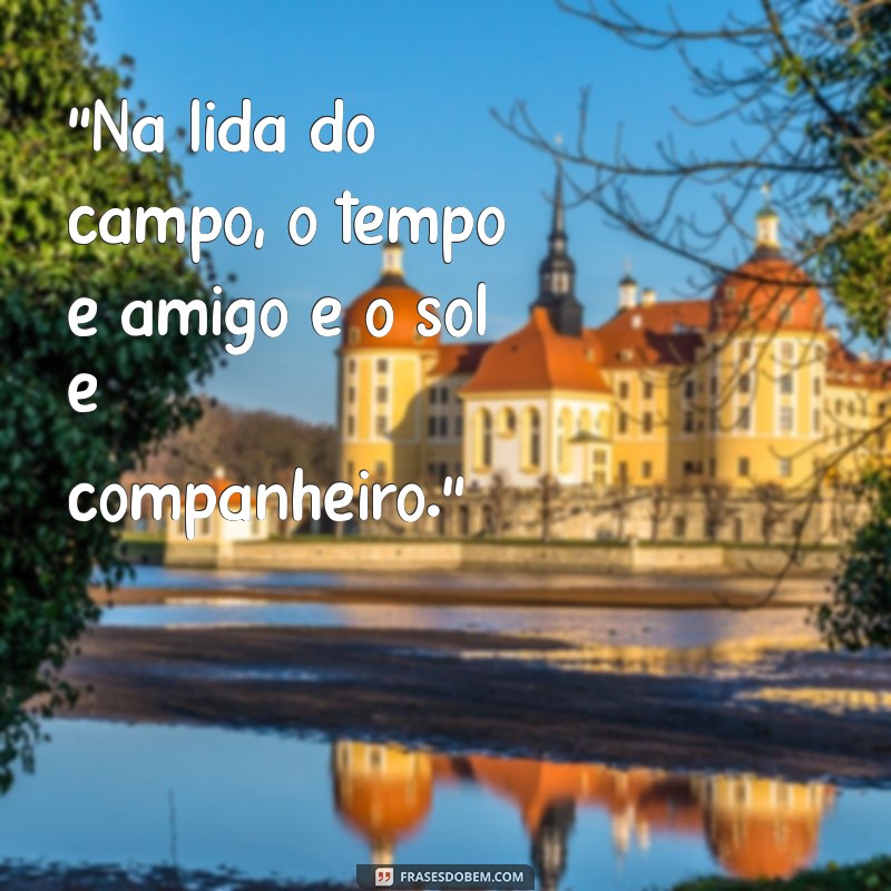 frases de boiadeiro 