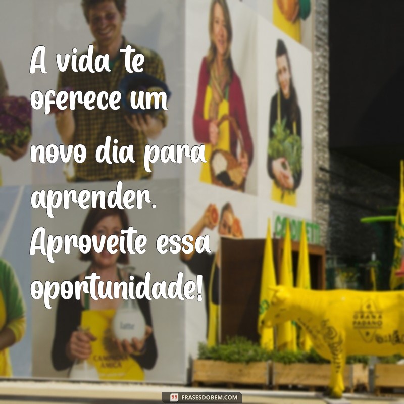 10 Mensagens de Bom Dia para Começar o Dia com Motivação 