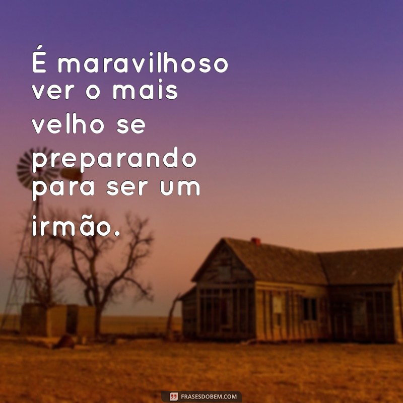 Frases Inspiradoras para Celebrar a Segunda Gestação: Amor e Expectativa 