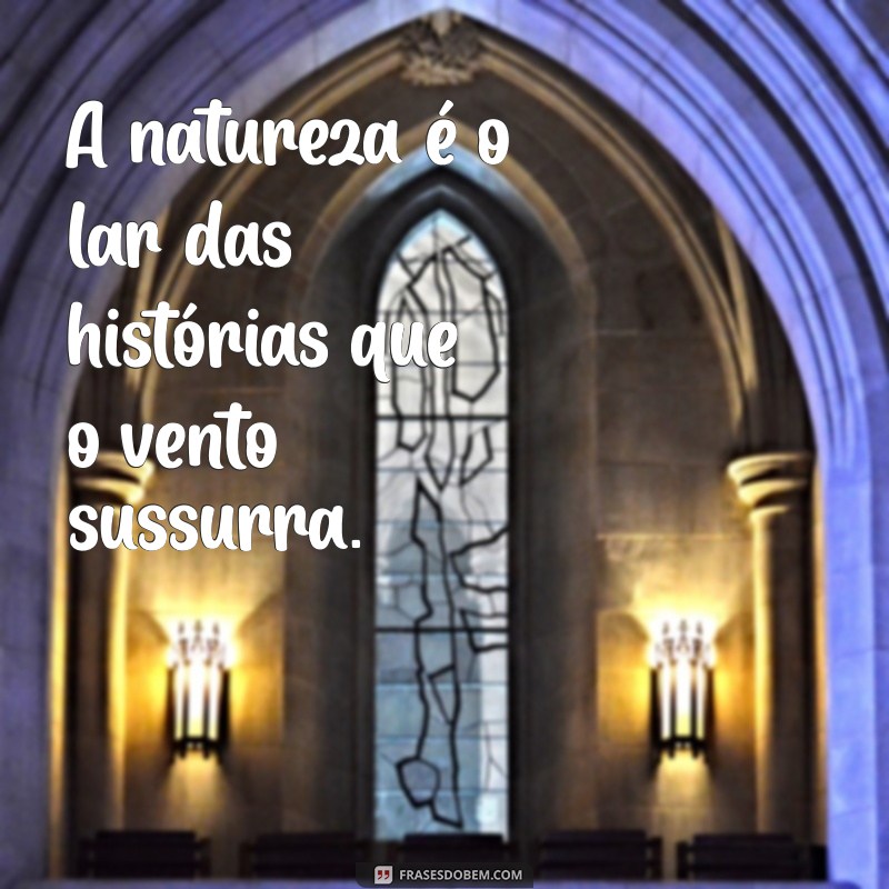 50 Frases Inspiradoras sobre a Natureza para Conectar-se com o Mundo Natural 