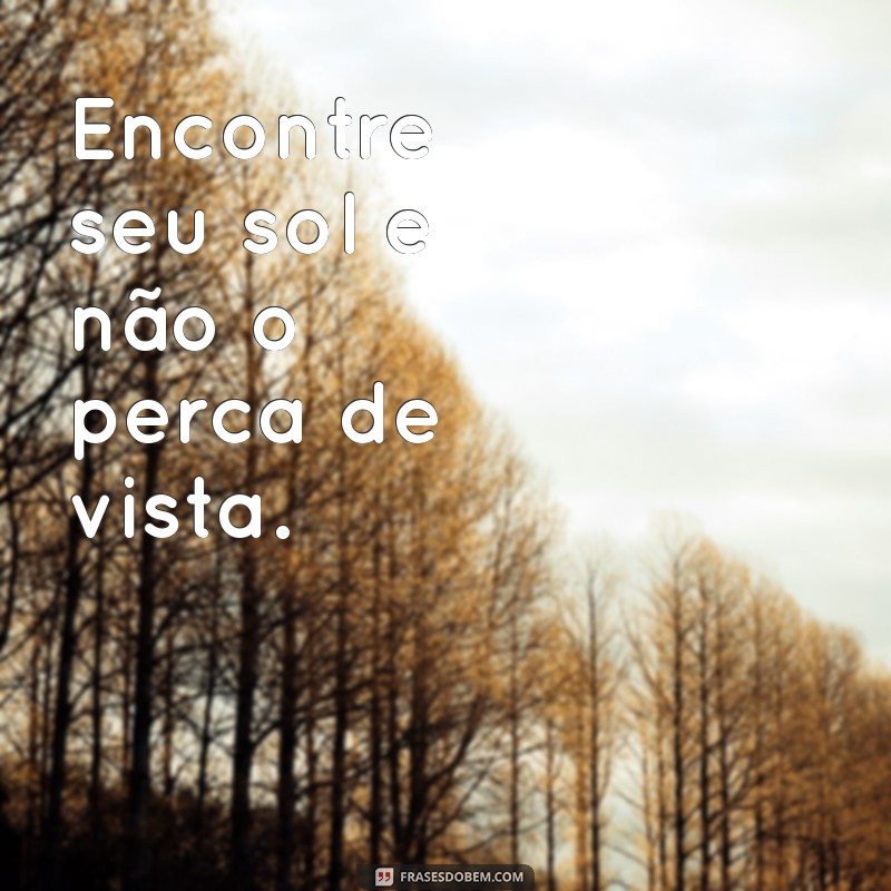 Frases Inspiradoras: Seja como um Girassol e Busque a Luz da Vida 