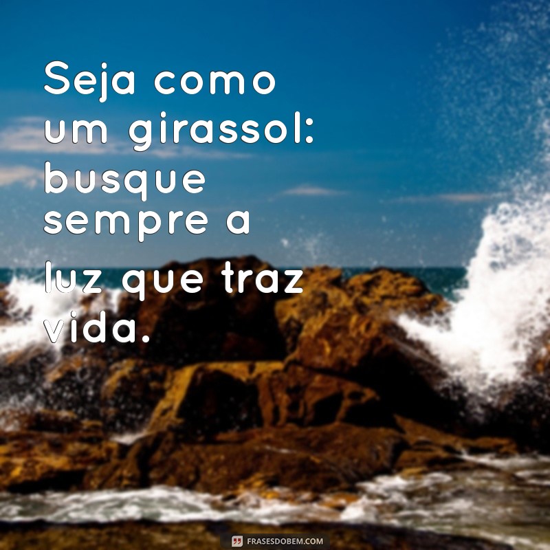 frases seja como um girassol de frente pra luz Seja como um girassol: busque sempre a luz que traz vida.