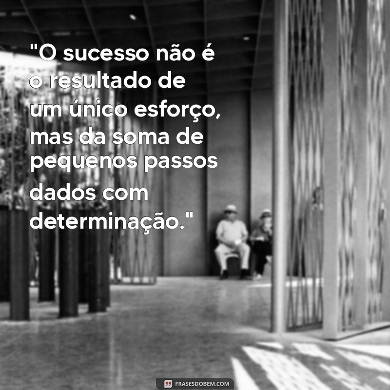 frases profissional de sucesso 