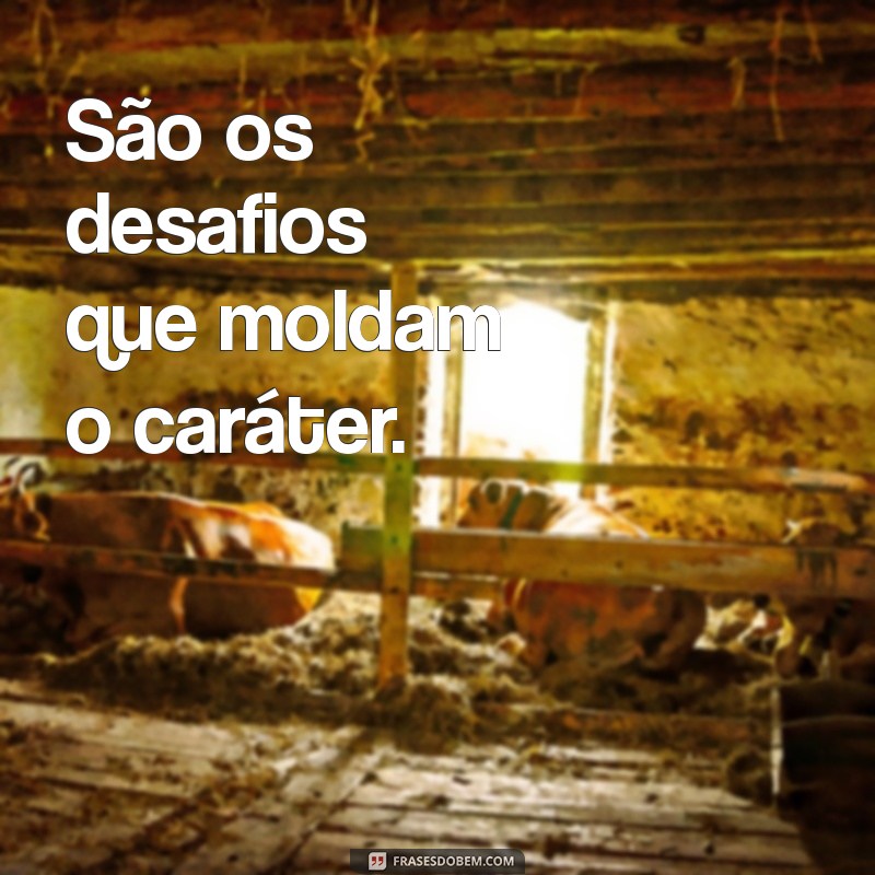 As Melhores Frases Masculinas para Valorizar Suas Fotos 