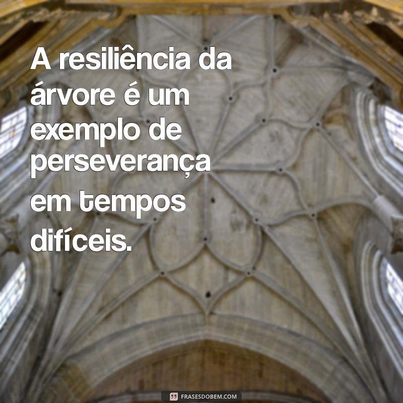 Frases Inspiradoras com a Palavra Árvore para Refletir e Compartilhar 