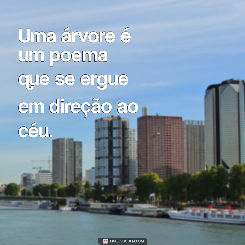 Frases Inspiradoras com a Palavra Árvore para Refletir e Compartilhar 