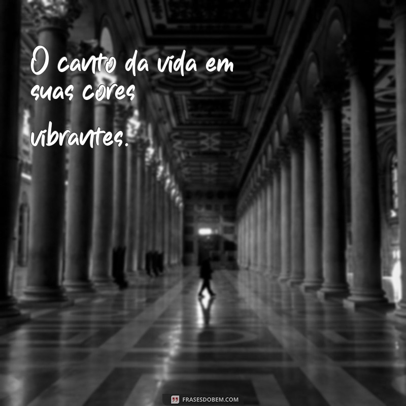 O Canto do: Descubra o Significado e a Beleza por Trás desta Expressão 