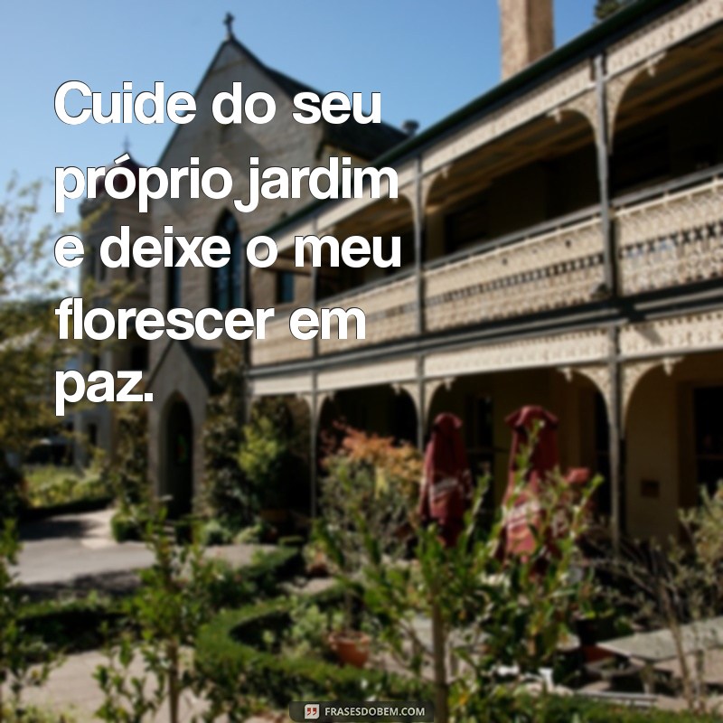 frases cuida da sua vida e esqueça a minha Cuide do seu próprio jardim e deixe o meu florescer em paz.