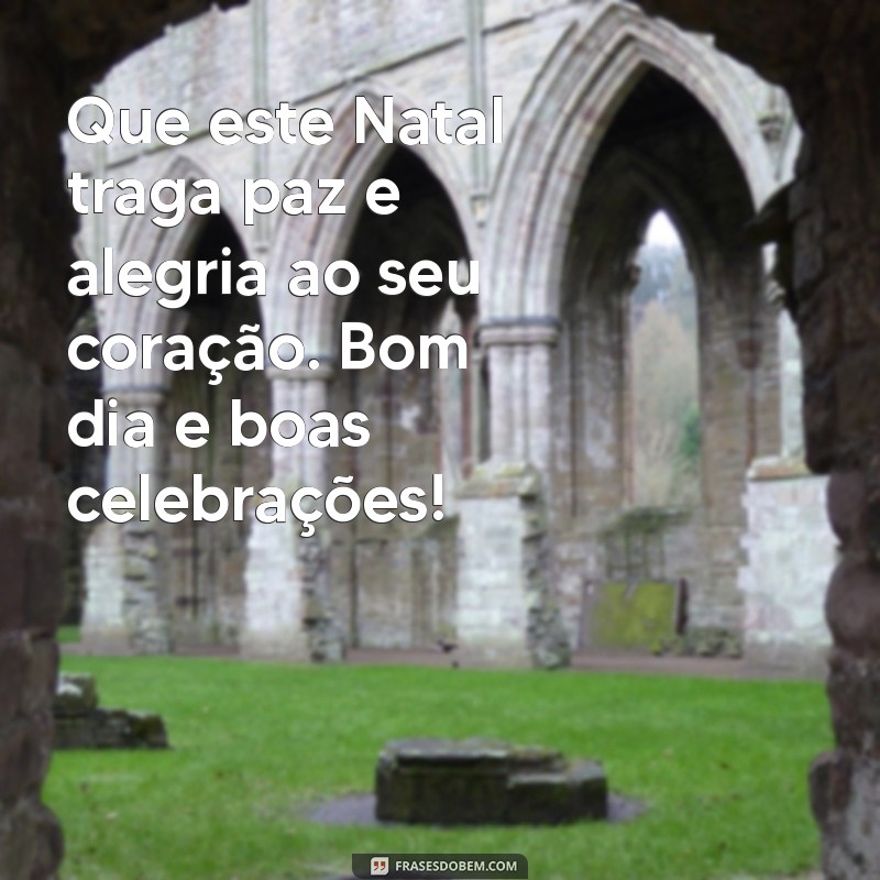 mensagem de feliz natal e bom dia Que este Natal traga paz e alegria ao seu coração. Bom dia e boas celebrações!