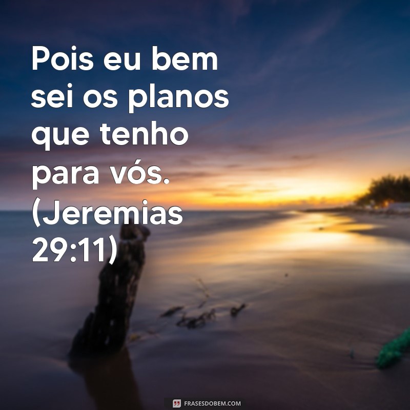 As 29 Frases Mais Citadas da Bíblia e Seu Significado 