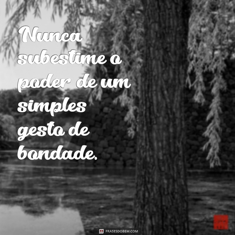 As Melhores Frases Favoritas para Inspirar seu Dia 