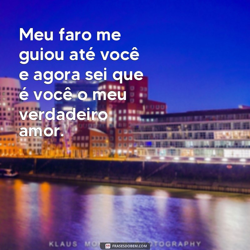 Descubra as melhores frases de amor de um lobo apaixonado 