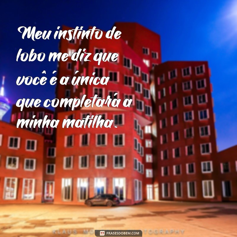 Descubra as melhores frases de amor de um lobo apaixonado 