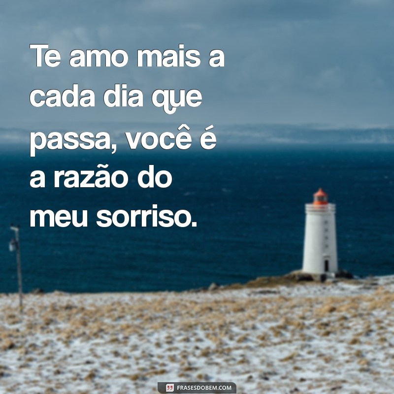 frases de apaixonado para namorada Te amo mais a cada dia que passa, você é a razão do meu sorriso.