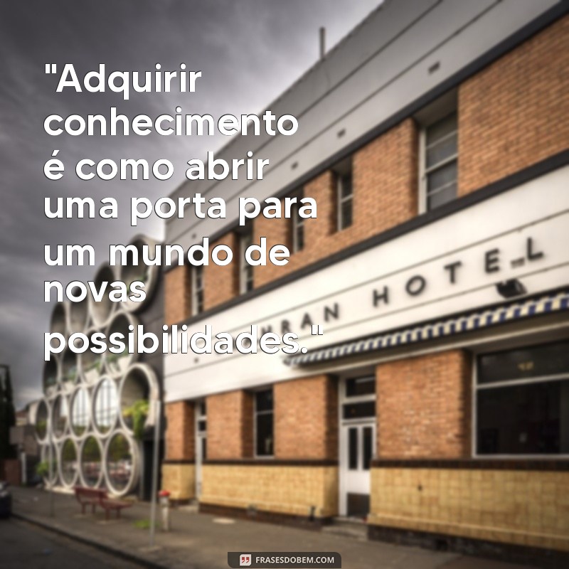 frases sobre adquirir conhecimento 