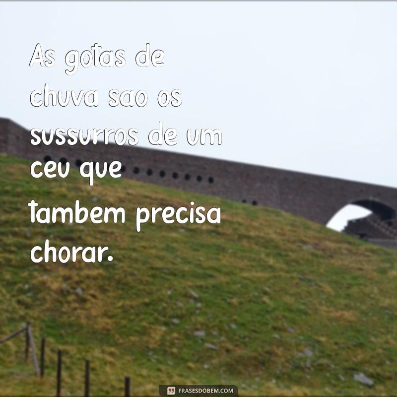 Frases Inspiradoras para Celebrar o Dia de Chuva: Reflexões e Poemas 